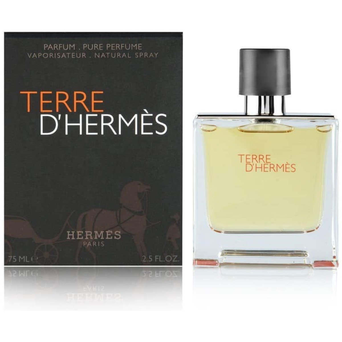 Hermes Terre D Hermes Edition Edp For Men 75Ml