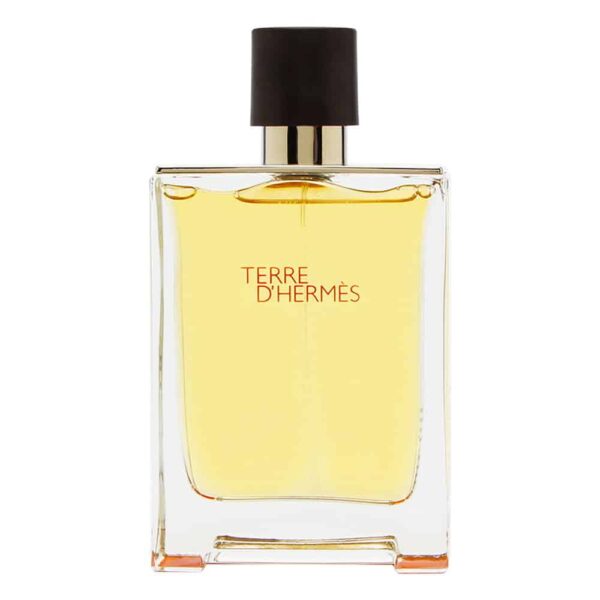 Hermes Terre D Hermes Intense Vetiver Edp For Men 100Ml - Image 2