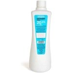 L'Oreal Professionnel Oxydant Creme 20 Vol 6% Developer 1000ml