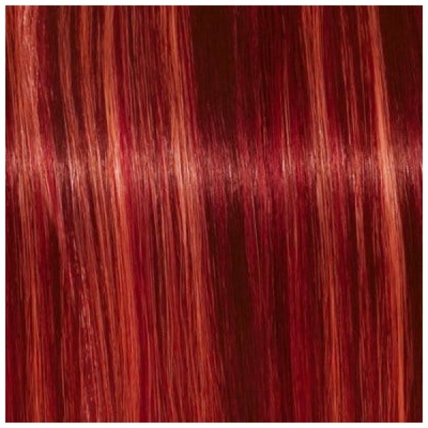 Schwarzkopf Igora Royal Hair Color 60ml L 88 Red Extra