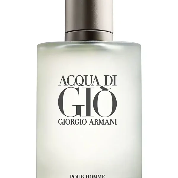 Giorgio Armani Acqua Di Gio Giorgio Pour Homme Perfume For Men 100Ml