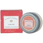 Mantra Herbal Lush Strawberry Shea And Kokkum Lips Balm 8 G