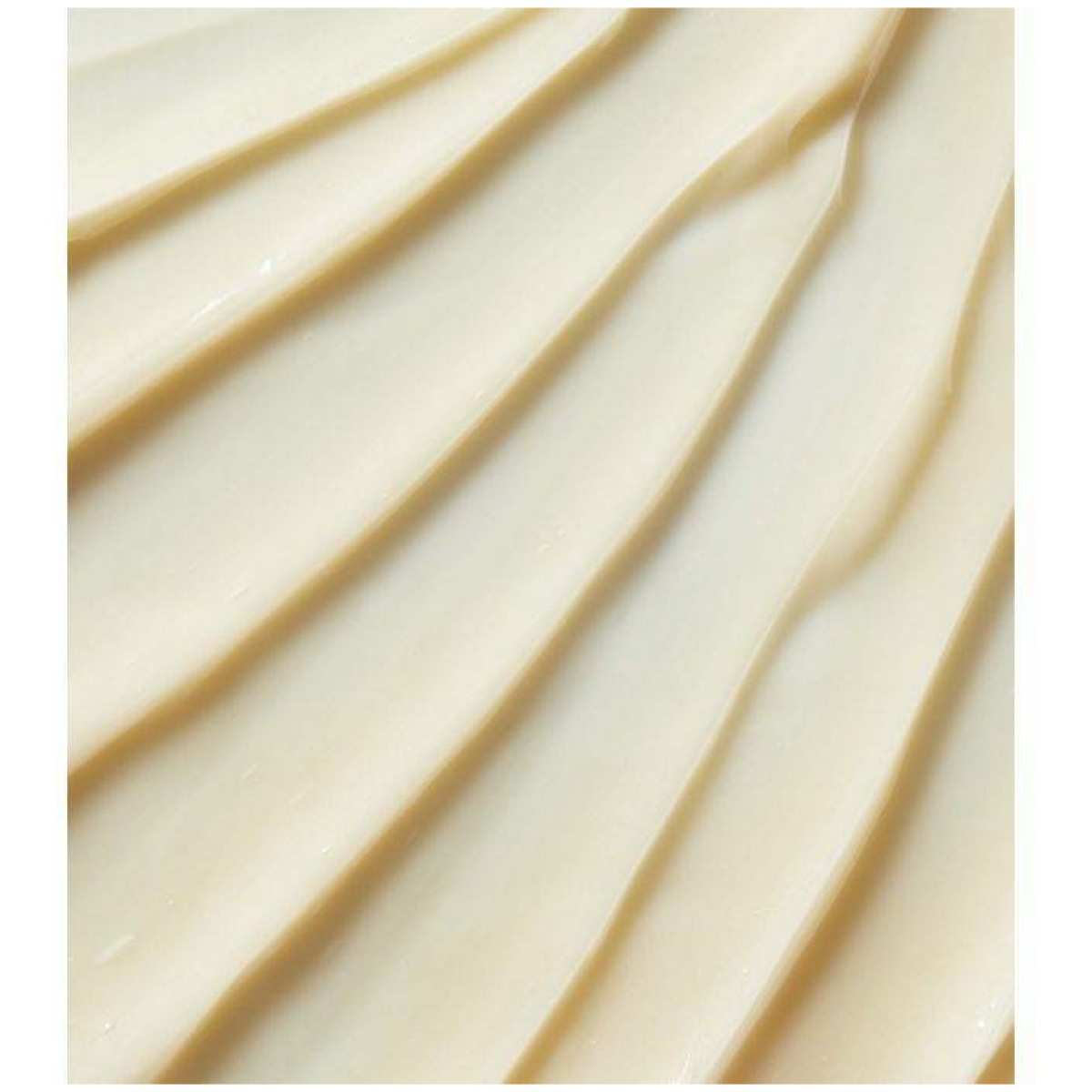 Kiehl's Pure Vitality Skin Renewing Cream 50Ml - Image 3