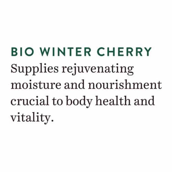 Biotique Wintercherry Body Nourisher 190Ml - Image 6