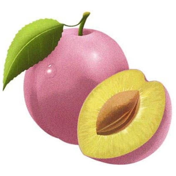 Biotique Himalayan Plum Body Cleanser 150G - Image 6