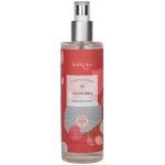 Mantra Herbal Gulab Arka Indian Rose Water