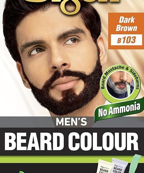 Bigen Mens Beard Color B 103 Dark Brown 40G