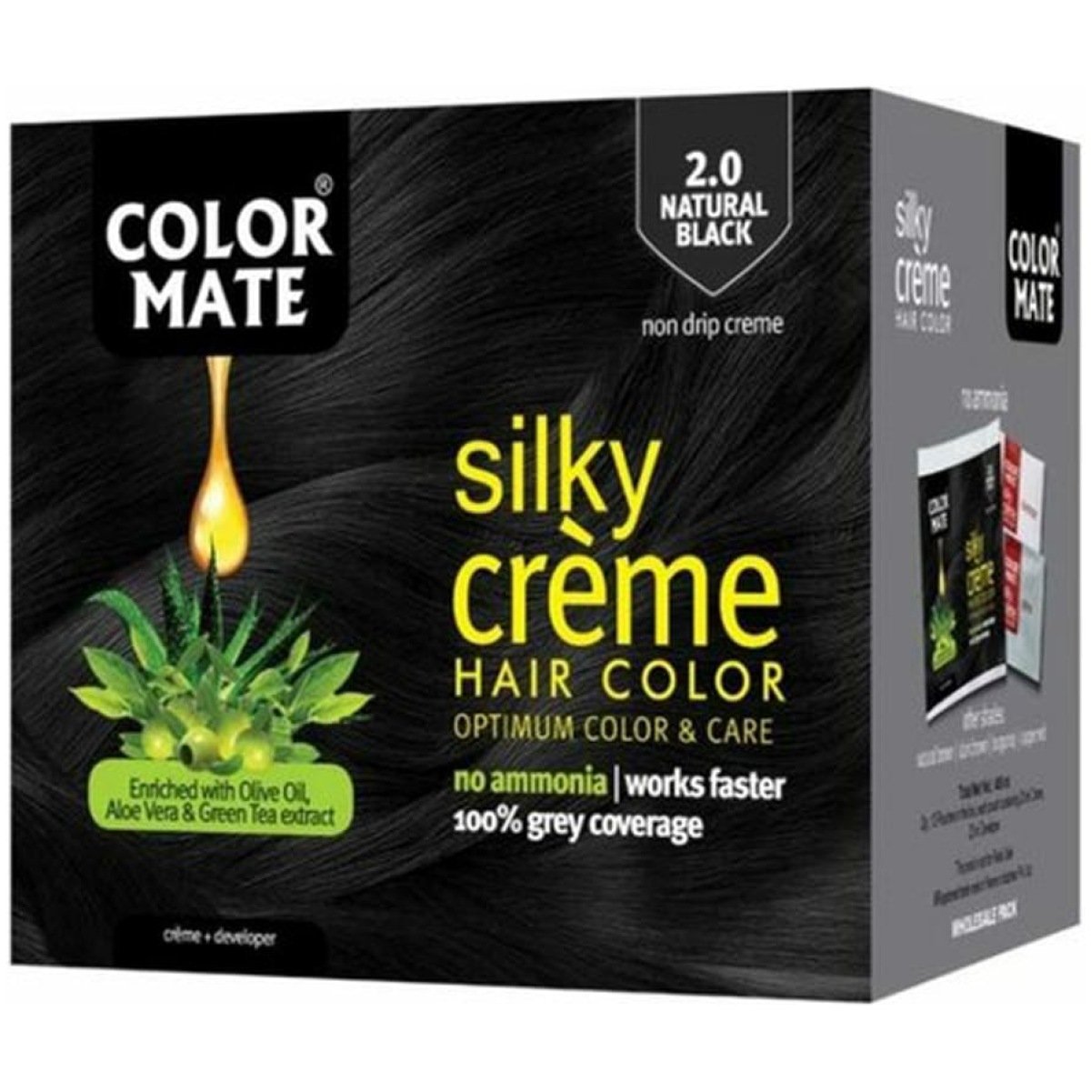 COLOR MATE SILKY HAIR COLOR 2.0 BLACK
