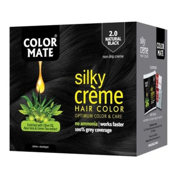 COLOR MATE SILKY HAIR COLOR 2.0 BLACK