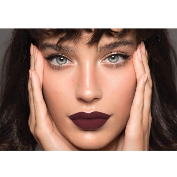 Chambor Matte Riot Lipstick 286 Dusky Drape 4.5Gm - Image 3