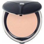 Chambor Rr2 Rose Pale Silver Shadow Luminous Compact Powder 16 G