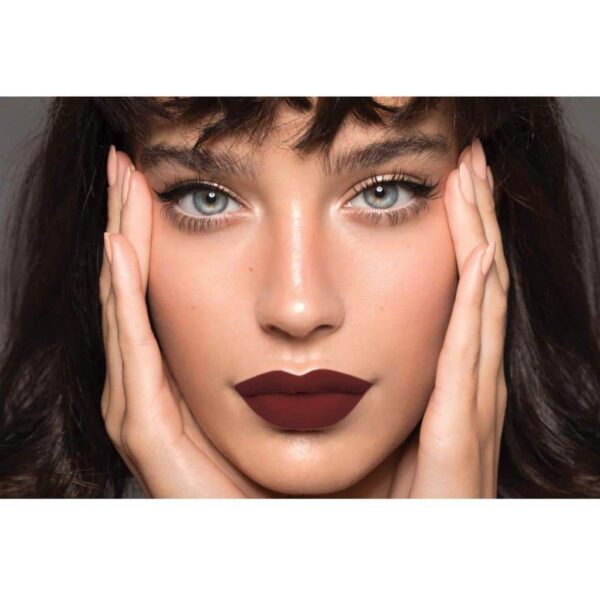 Chambor Matte Riot Lipstick 205 Auburn Toss 4.5Gm - Image 4