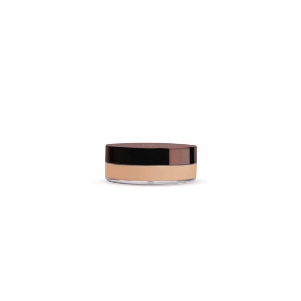 Colorbar Flawless Air Brush Finish Loose Powder No.003C Rose Classic 9G - Image 4