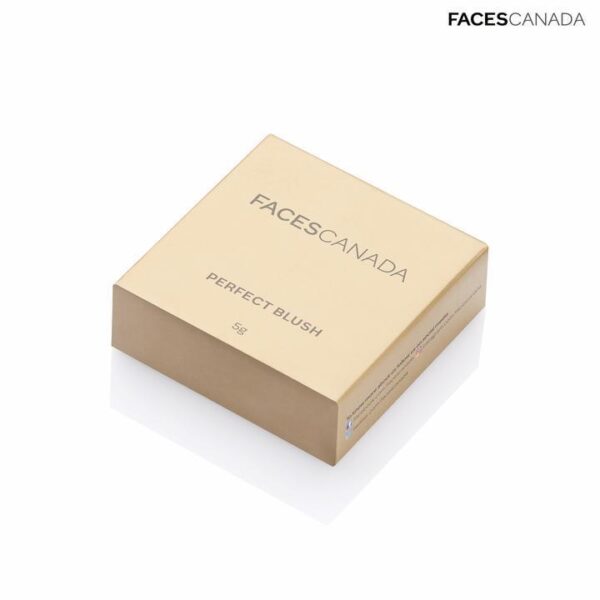 Faces Canada Glam On Perfect Blush Apricot 06 5Gm - Image 3