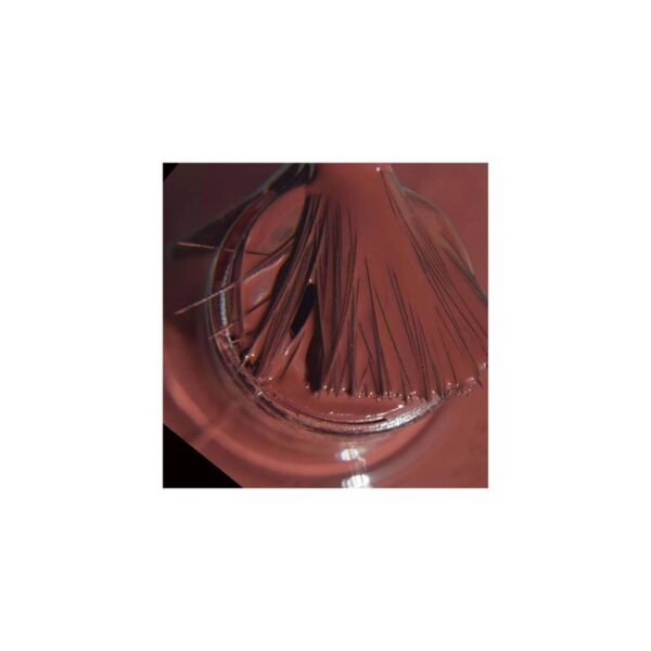 Colorbar Artefecte Nail Lacquer No.578 Rosy Brown 12Ml - Image 3