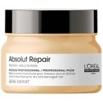 Loreal Professionnel Serie Expert Lipidium Absolut Repair Mask 250ml