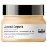 L'Oreal Professionnel Serie Expert Absolut Repair Gold Quinoa + Protein Masque 490G