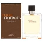 Hermes Terre D Hermes Intense Vetiver EDP For Men 100Ml