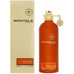 Montale Nepal Aoud Eau De Perfume For Women 100Ml