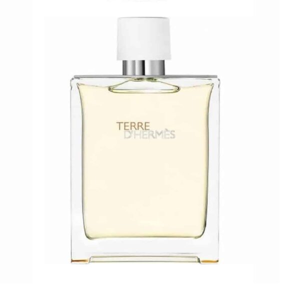Hermes Terre D Hermes Fraiche For Men Edt 2Ml - Image 3