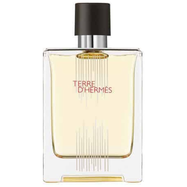 Hermes Terre D Hermes Limited Edition Edt For Men 100Ml - Image 2