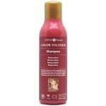 Surya Brazil Color Fixation Restorative Shampoo 250ml