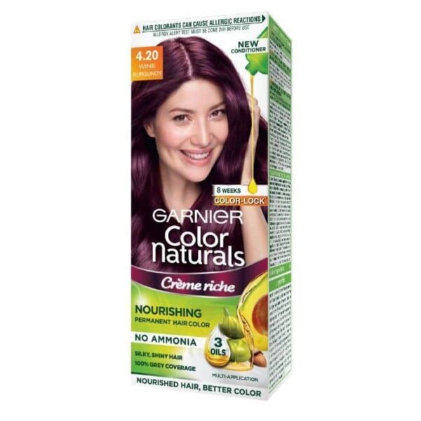 Garnier Color Naturals Creme Hair Color Big Pack 4.20 Wine Burgundy