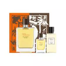 Hermes Terre D'Hermes Eau Intense Vetiver Gift Set For Men (EDT Perfume 100 ml+ Deodorant Stick 25 g+Balsamo Para Despues Del Afeitado 40 ml)
