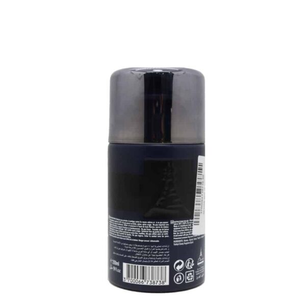 Reyane Tradition Paris IV Deodorant Perfume For Men 250ml - Image 2