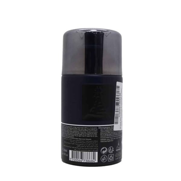 Reyane Tradition Paris Marcel & Capucine II Deodorant Perfume For Men 250ml - Image 2