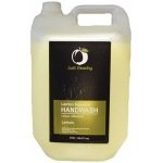 Just Peachy Handwash Softening Lemon 5L