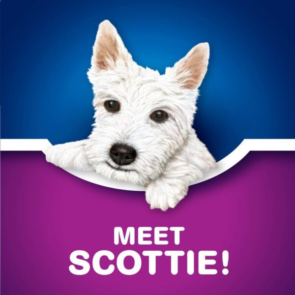 Scotties Supreme 3-ply Facial Tissues Box, 60 Tissues - Image 5