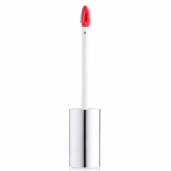 Chambor Le Shine Lip Gloss Make Up 201 Peekaboo