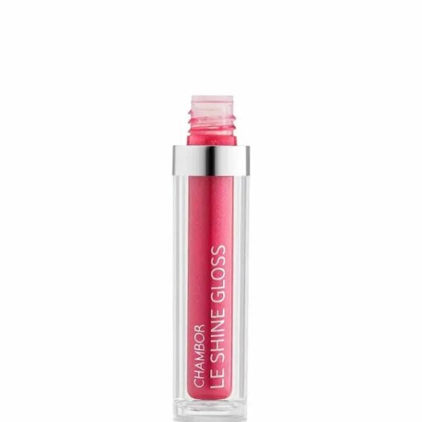 Chambor Le Shine Lip Gloss Make Up 201 Peekaboo