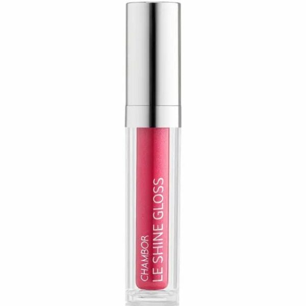 Chambor Le Shine Lip Gloss Make Up 201 Peekaboo