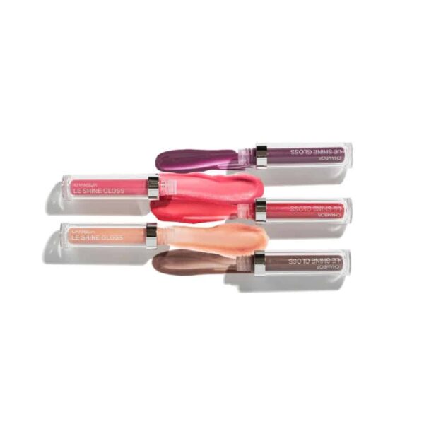 Chambor Le Shine Lip Gloss Make Up 205 Flirt