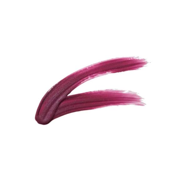 Chambor Le Shine Lip Gloss Make Up 205 Flirt