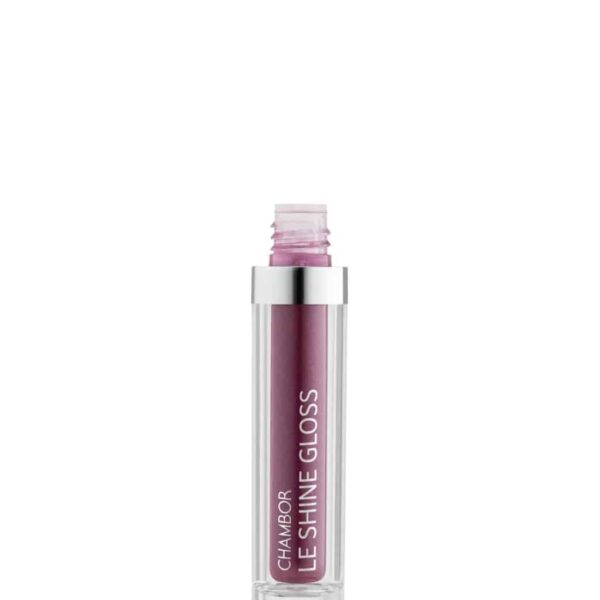 Chambor Le Shine Lip Gloss Make Up 205 Flirt