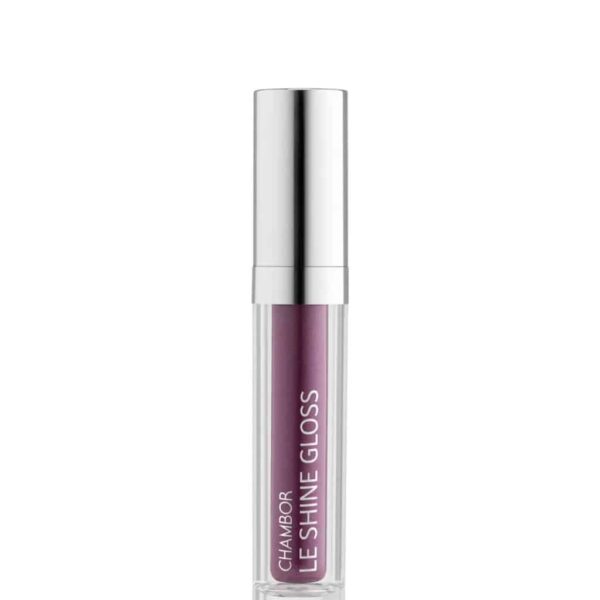 Chambor Le Shine Lip Gloss Make Up 205 Flirt