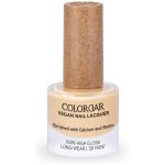 Colorbar Vegan Nail Lacquer 265 The Foundation