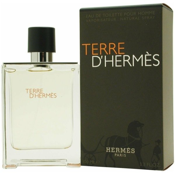 Hermes Terre D'Hermes EDT Perfume 100ml