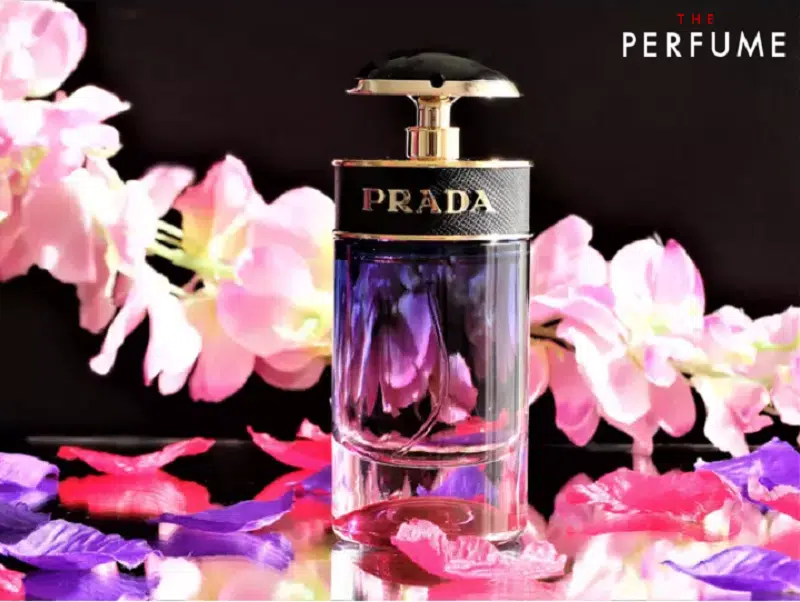 Prada outlet candy night (100ml)