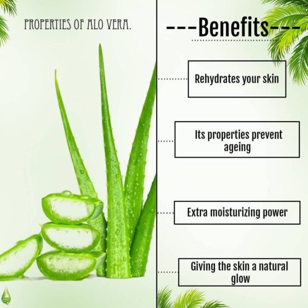 Biocare Professional Aloe Vera Gel Scrub 330ml