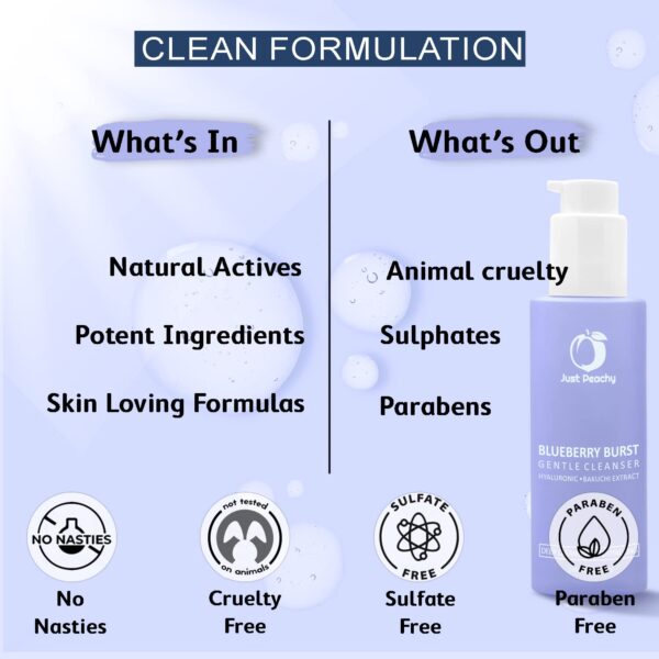 Just Peachy Blueberry Burst Gentle Cleanser With Hyaluronic Acid, Blueberry, Vit E and Bakuchi Extract I Hydrating | Sulphate Free | Non- Drying | Face Wash For Dry, Normal & Ageing Skin 100 Ml