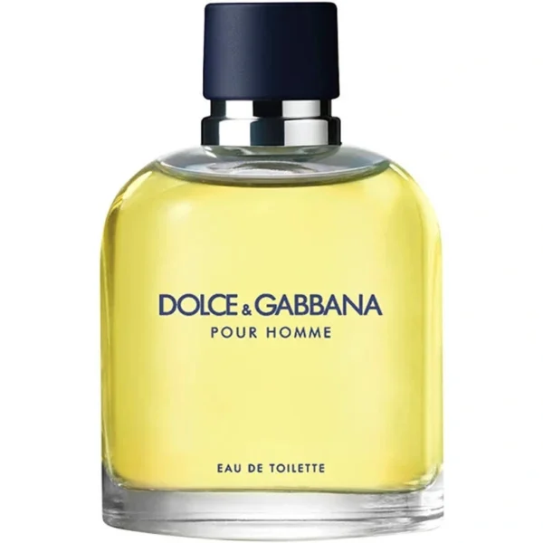 Dolce & Gabbana Pour Homme EDT Perfume 100ml
