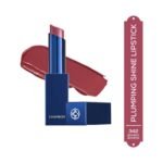 Chambor Tres Shine Plump Long-Lasting Lipstick,342 Bombay Boheme 3g