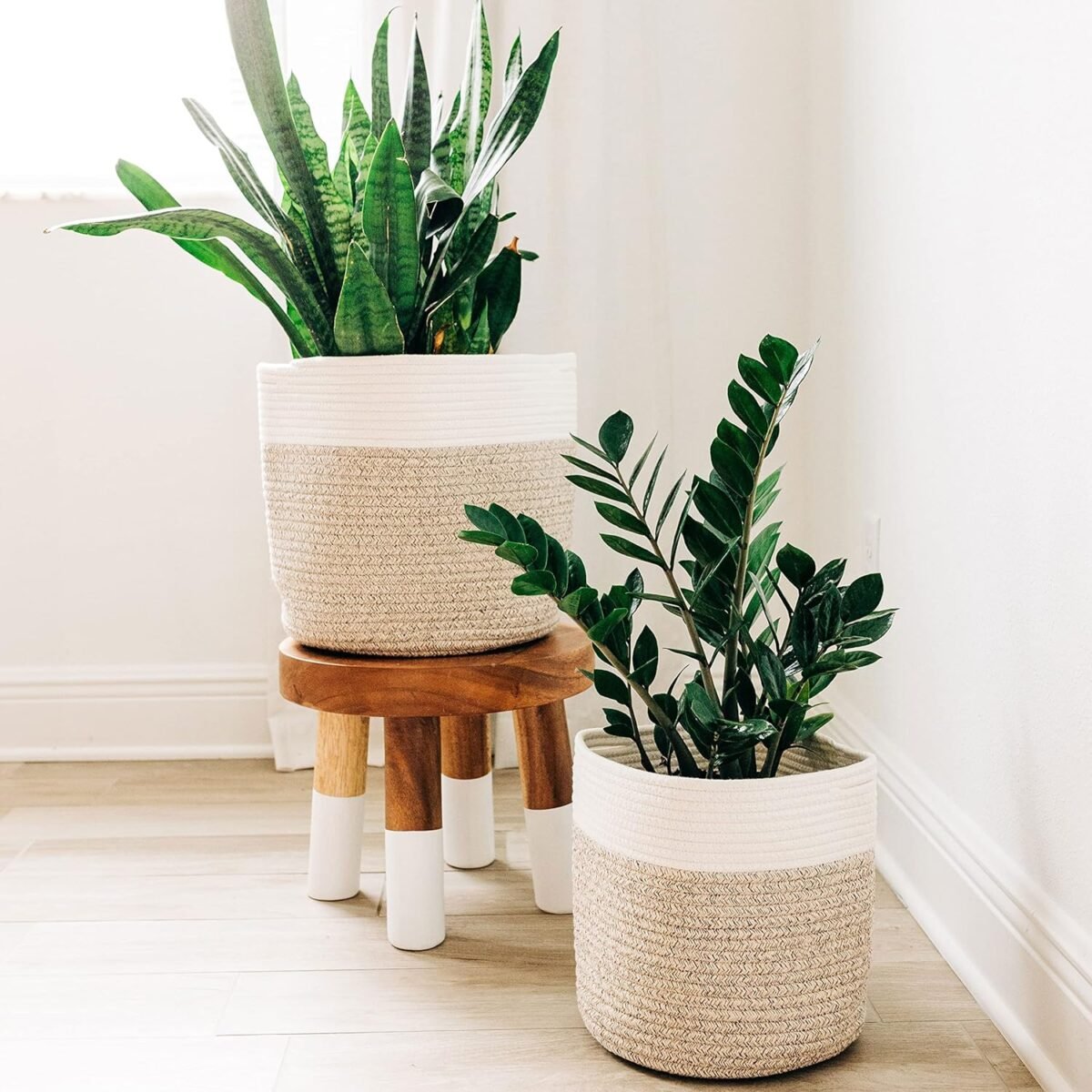 indoor plant basket set