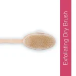 Global Beauty Secrets Dry Brush With 14 Inch Removable Wood Handle