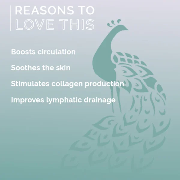 Global Beauty Secrets Phakura Copper Sculpting Wings