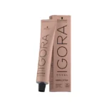 IGORA ROYAL Absolutes 5-50 Light Brown Gold Natural 60 ml